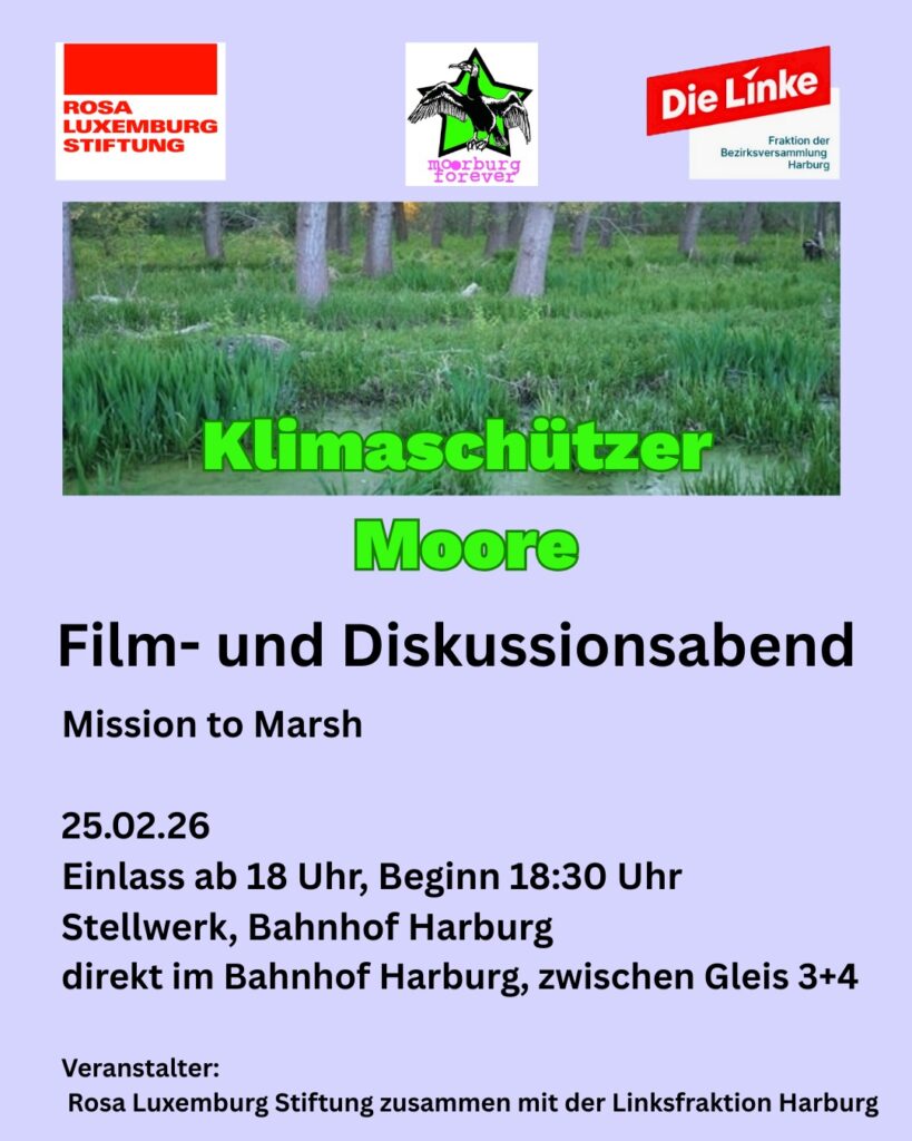 Oben die 3 Logos der Rosa Luxemburg Stiftung