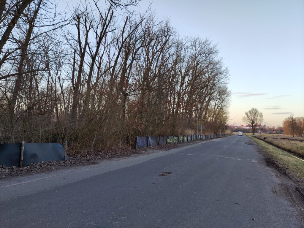 Eine Straße führt am Waldrand entlang. Am linken Straßenrand stehen hohe Bäume (wlad), davor ist der Amphibienschutzzaun zu sehen der eine breite Lücke hat. Am Horizont ein weißer Kleinbus auf der Straße. Ganz im Hintergrund Hafenkräne
