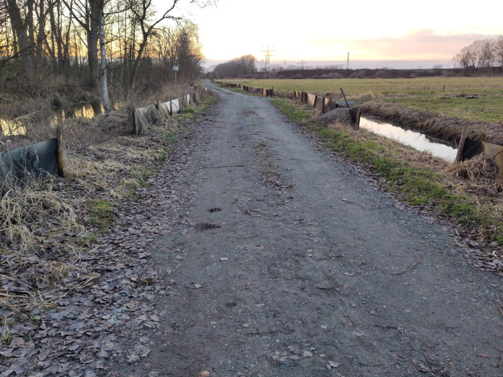Ein mit grauem Belag befestigter Weg, links Bäume, rechts Felder hinter einem Grabe. An beiden Rändern sind Amphibienschutzzäune zu sehen, die breite Lücken aufweisen