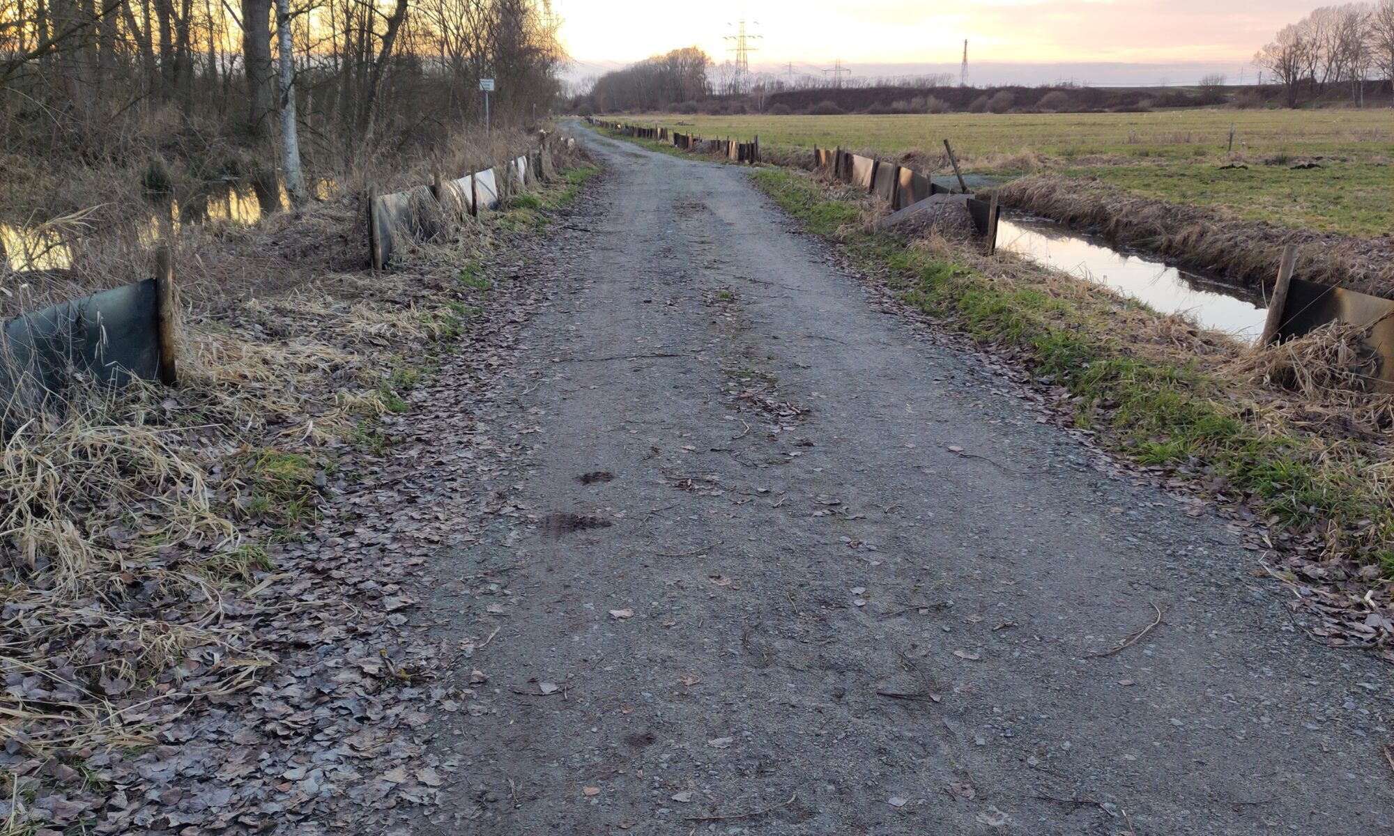 Ein mit grauem Belag befestigter Weg, links Bäume, rechts Felder hinter einem Grabe. An beiden Rändern sind Amphibienschutzzäune zu sehen, die breite Lücken aufweisen